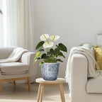 Ceramic Planter - Image 7