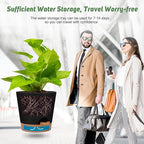 Indoor Self Watering Planters - Image 6