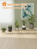 5 Pack Metal Plant Stands 5-Pack Round Supports Display Rack Tiered Plant Stand - Image 7