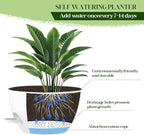 2 Pack 10 Inch Self Watering Hanging Planters - Image 6