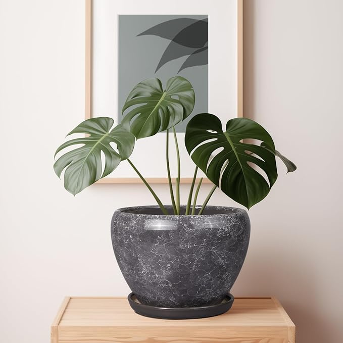 Ceramic Planters for Indoor Plants - Image 7