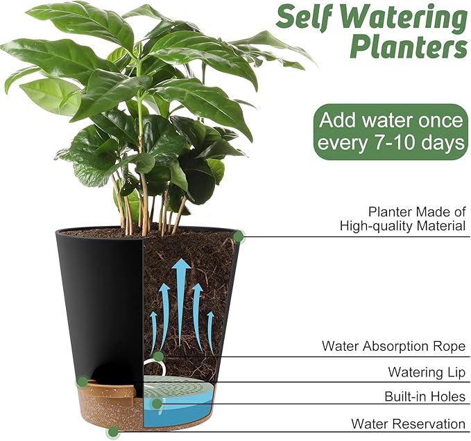 8-Inch Plant Pots, Self-Watering Planters - Image 5
