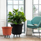 5 Pack 10.5 inch Plant Pots, Planter-Pots-for-Plants-Indoor-Outdoor，Plastic - Image 6