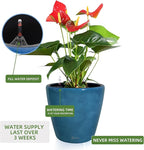Dexceder 13x12 Self Watering Planter - Image 5
