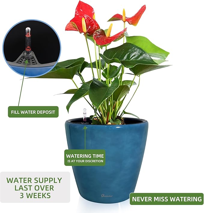 Dexceder 13x12 Self Watering Planter - Image 5
