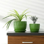Ton Sin Ceramic Plant Pots, Indoor Planters - Image 5