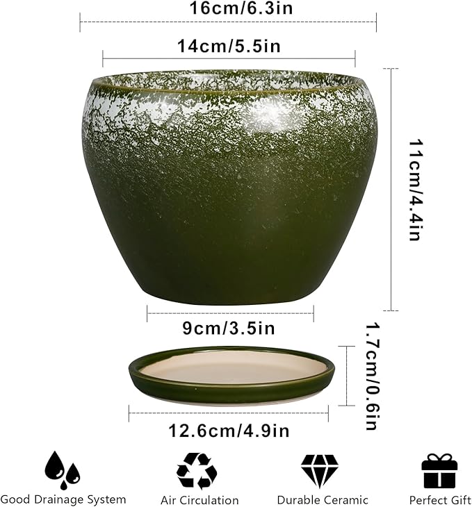 6 Inch Plant Pot - Image 3
