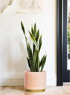 Gepege Pink Indoor Plant Pots for Plants, Large Ceramic Planter - Image 5