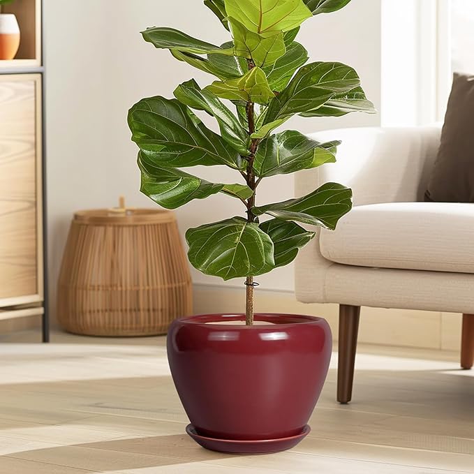 Ceramic Planter - Image 2