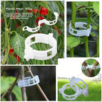 OJYUDD 300 PCS Plant Support Garden Clips, Tomato Vine Clips, Durable Crop - Image 5
