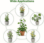 Indoor Trellis for Climbing Plants: 3PC Small Garden Metal Trellis for Vine Ivy - Image 7