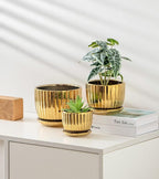 Ton Sin Gold Plant Pots, 4.1+5.1+6.5 Inch Ceramic Succulent Planters Set of 3 - Image 4
