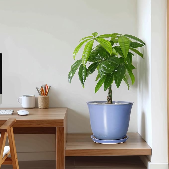 Ceramic Plant Pots - Image 7