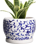 SQOWL 6 Inch Planter by SQOWL