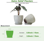 6 Inch Ceramic Planter Pots - Image 3