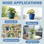 6 Inch Plant Pots, Plastic Flower Pots - Image 7