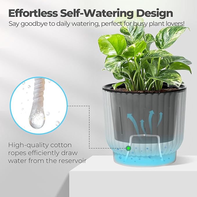 T4U 6 Inch Self Watering Pots for Indoor Plants, 6 Pack Plant Pots, Self - Image 3