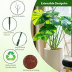 6 Pack Stackable Monstera Plant Support, Plant Stakes - Image 5