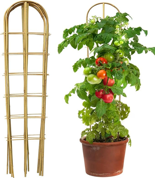 5 Pack 4 Feet U-Shape Bamboo Trellis, Natural Bamboo Trellis by Taoskai