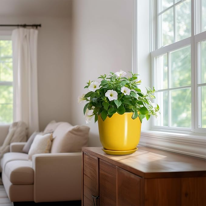 Ceramic Pots for Plants - Image 6