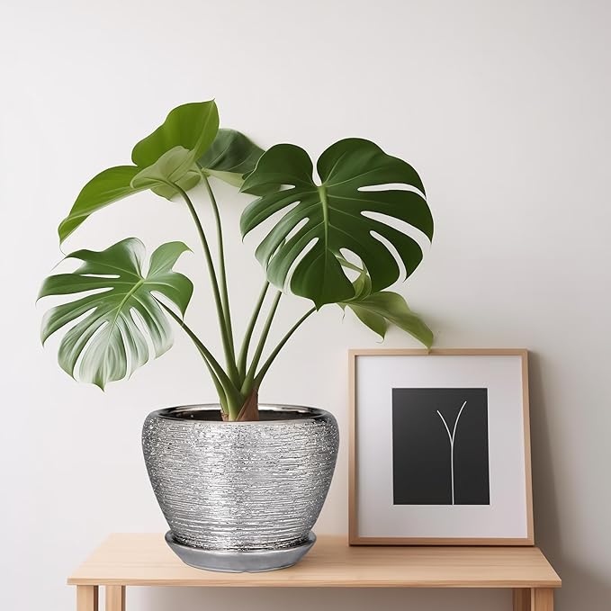 Ceramic Planter - Image 5