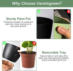 Planters for Indoor Plants 3 Pack, 10/9/8 Inch Self Watering Flower Pots - Image 5