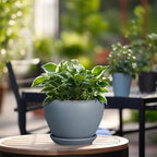 Ceramic Pot for Plants - Image 4