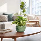 6 Inch Plant Pot - Image 6