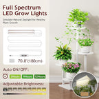 Plant Stand Indoor with Grow Light, 4-Tiered Tall Plant Stand Indoor, Metal - Image 3