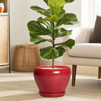 Ceramic Planter for Indoor Plants 8 Inch - Image 2