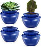 4 Sets African Violet Pots 4 Inch Self Watering Pot by Sunnychicc