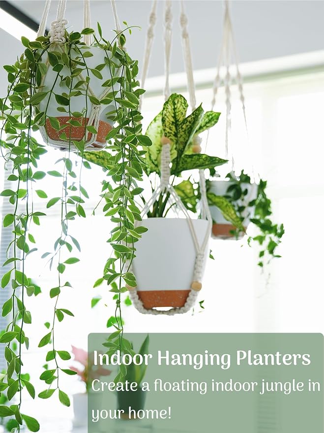 Hanging Planters with Macrame Plant Hangers - Image 2