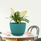 Plant Pots 12 inch, Plastic Planters - Image 7