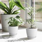 6 inch Flower Pots, 5 Pack Plant Pots - Image 7