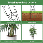 Indoor Plant Trellis for Climbing Plants 2 Pack Small Garden Metal Support for - Image 6