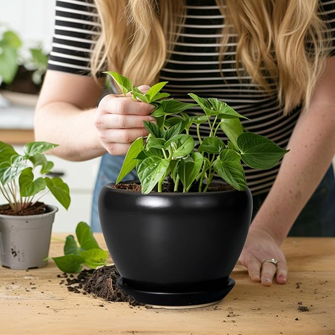 Ceramic Planter Pot - Image 5