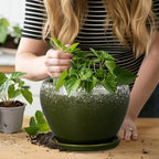 8 Inch Plant Pot - Image 7