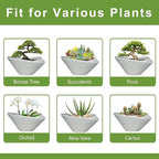 Bonsai Pots 13 Inch - Image 7