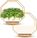 IRYL Wall Planter for Indoor Plants - Image 3