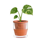 D'vine Dev 4 Inch Design Self Watering Pot by DvineDevPlanterPotsandStand