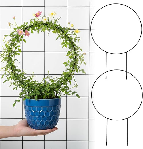 2 Pcs Trellis for Climbing Plants Indoor 14.5" Hoya Trellis Set Small Plant by Unknown