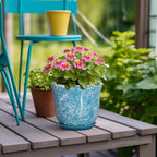 Ceramic Pots for Plants - Image 4