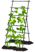 Lalahoni Cucumber Trellis, 6ft Tall Metal Garden Trellis by Thereasonyoulovegardening