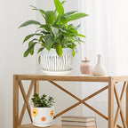 Ceramic Plant Pots Set of 3, 6.75/5.6/4.2 inch Planters - Image 7