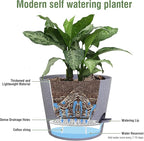 12 inch Large Self Watering Pots - Image 4