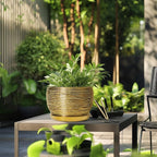 SQOWL Ceramic Planter for Indoor Plants - Image 5