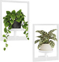Bamworld White Plant Stand Indoor, Plant Hanger Wall Planters by Bamworld