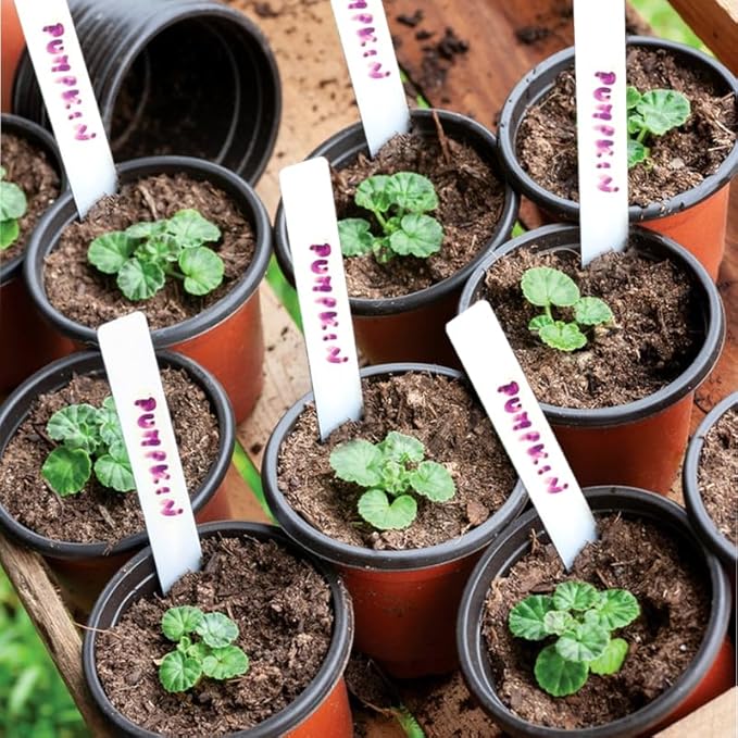Plant Nursery Pot/Pots 100 Pcs 6" Plastic Small Plants Pots Flower Pots Seed - Image 8