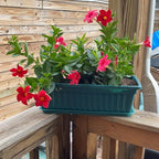 JOIKIT 6 Packs 17 x 7.5 x 5.5 Inch Plastic Window Planter Boxes - Image 6