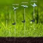 Solar Pathway Lights - Image 7